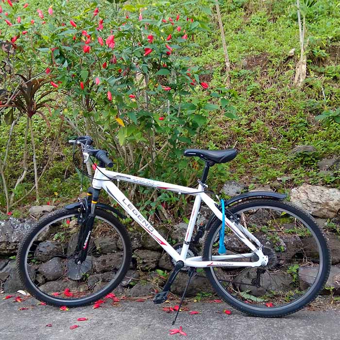 fare arana mountain bike rental